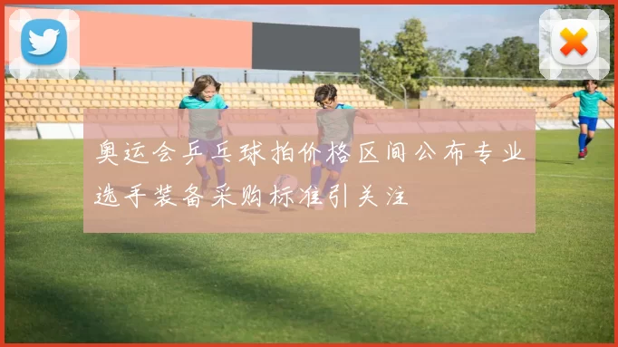 奥运会乒乓球拍价格区间公布专业选手装备采购标准引关注