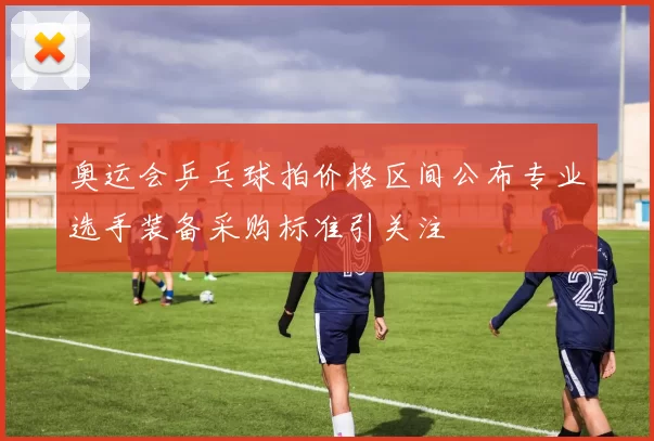 奥运会乒乓球拍价格区间公布专业选手装备采购标准引关注