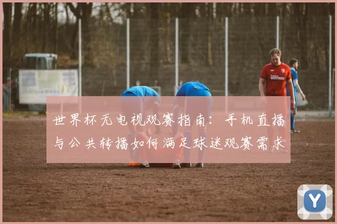 世界杯无电视观赛指南：手机直播与公共转播如何满足球迷观赛需求