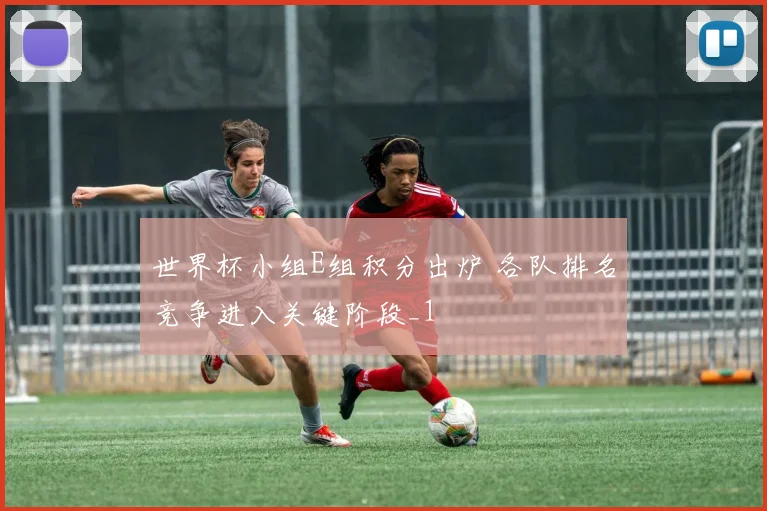世界杯小组E组积分出炉 各队排名竞争进入关键阶段_1