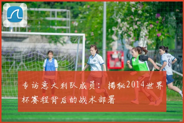 专访意大利队成员：揭秘2014世界杯赛程背后的战术部署