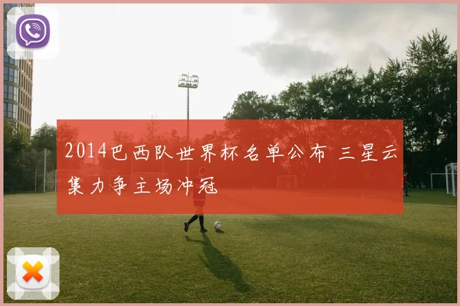 2014巴西队世界杯名单公布 三星云集力争主场冲冠